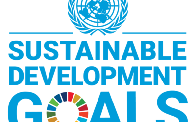 The United Nations Sustainable Development Goals: How can you do your bit?